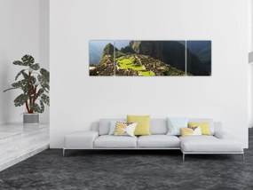 Obraz - Lamy na Machu Picchu (170x50 cm)