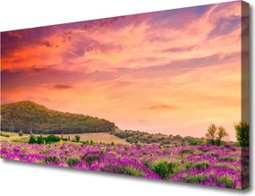Zdjęcie na płótnie Kolorowa Łąka w Pełni Lata