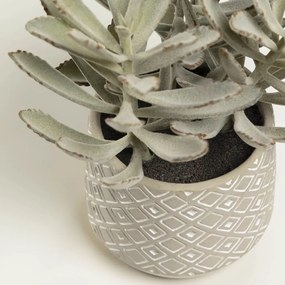 Sztuczny sukulent (wysokość 23 cm) Kalanchoe Tomentosa – Kave Home