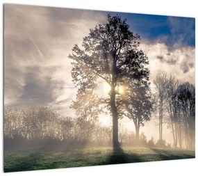 Obraz na szkle - drzewo we mgle (70x50 cm)