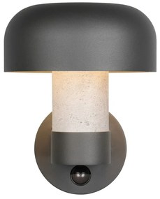 Zewnętrzna lampa ścienna (wysokość 24,5 cm) Fraser – Trio