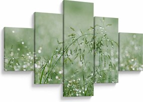 Obraz - Poranna rosa na źdźbłach trawy (125x70 cm)