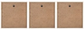 Obrazy zestaw 3 szt. 30x30 cm Pampas – Styler