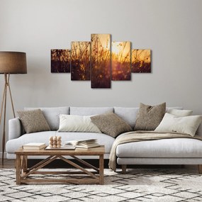 Obraz pola o zachodzie słońca (125x70 cm)