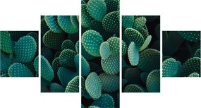 Obraz - Opuncja (125x70 cm)
