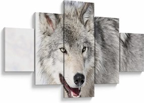 Obraz - Wilk w naturze (125x70 cm)