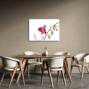 Obraz na szkle kwiatu orchidei (70x50 cm)