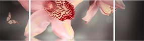 Obraz - Kwiaty i motyl (170x50 cm)
