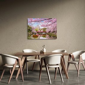Obraz na szkle - wiśnia japońska (70x50 cm)