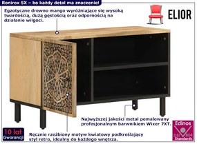 Szafka RTV z drewna mango z drzwiczkami - Ronirox 5X