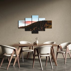 Obraz rudzików nad wzgórzem (125x70 cm)