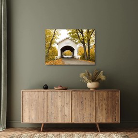 Obraz na szkle mostu w Oregonie (70x50 cm)