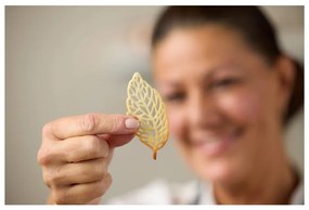 Silikonowa forma do pieczenia 29x9 cm Latte – Blomsterbergs