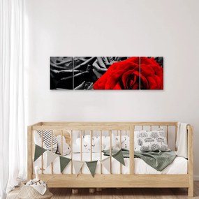Obraz - Róże (170x50 cm)