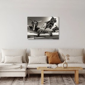 Obraz - Historyczne samoloty (70x50 cm)