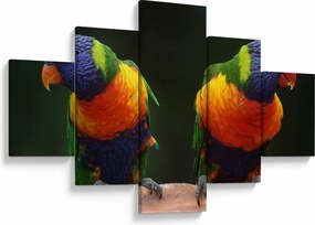 Obraz papug (125x70 cm)