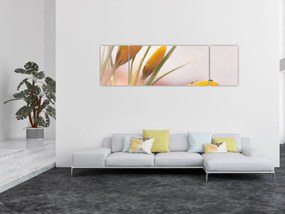 Obraz - Wiosenne kwiaty (170x50 cm)