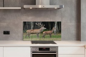 Panel Szklany Jeleń w Gęstwinie Leśnej
