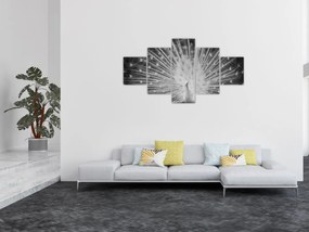 Obraz - Biały paw (125x70 cm)