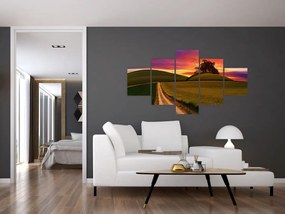 Obraz pola z zachodem słońca (125x70 cm)