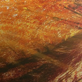 Obraz jesiennego lasu (125x70 cm)