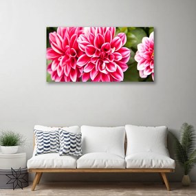 Obraz canvas Wyrafinowana Flora Ścienna