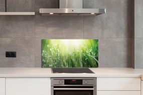 Szklany Panel Krople Rosy w Słońcu