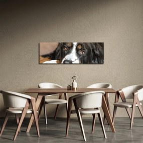 Obraz psa (z zegarem) (90x30 cm)