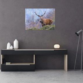 Obraz na szkle - Jeleń w krajobrazie (70x50 cm)