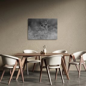 Obraz na szkle - Wiejska łąka (70x50 cm)