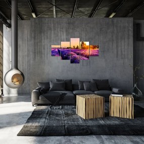 Obraz lawendowego pola (125x70 cm)