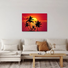 Obraz sylwetki wyspy z palmami (70x50 cm)