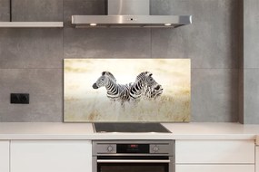 Szklany Panel Zebry na Afrykańskiej Równinie