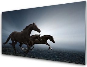 Szkło Ozdobne do Kuchni Konie Na Wolnym Wybiegu