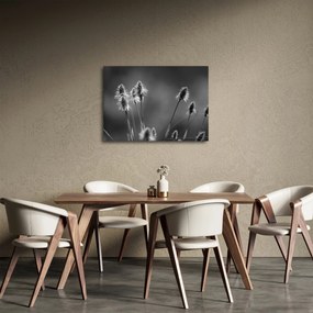 Obraz - Beżowa miękka trawa N⁰2 (70x50 cm)