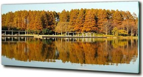 Foto obraz szklany Las nad jeziorem