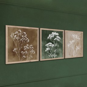 Obrazy zestaw 3 szt. 30x30 cm Floral Imprint – Styler