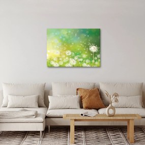 Obraz - Kwitnące mlecze (70x50 cm)