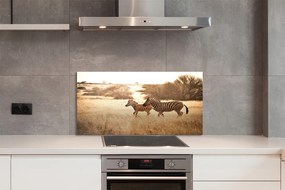 Panel szklany do Kuchni Sylwetka Zebry o Zachodzie