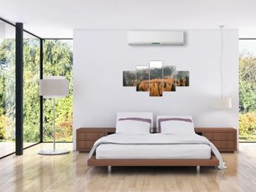 Obraz - Jesienny las (125x70 cm)