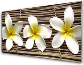 Panel Kuchenny Harmonijna Flora Botaniczna