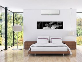Obraz - Książka (170x50 cm)