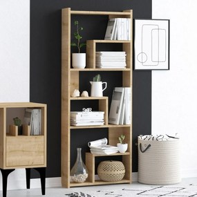 Biblioteczka Meg Oak