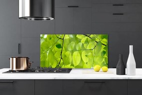 Panel Kuchenny Botaniczny Detal Liści