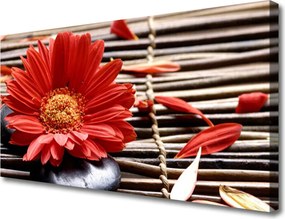 Obraz na płótnie Delikatność Płatków Kwiatowych