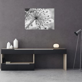 Obraz - Kwiat w zimie (70x50 cm)