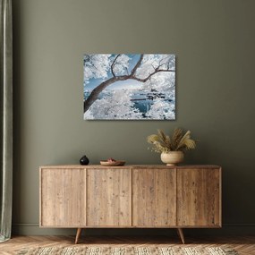 Obraz na szkle - ośnieżone drzewo nad wodą (70x50 cm)