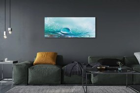 Obraz drukowany na płótnie Abstrakcyjna Kropla Makro