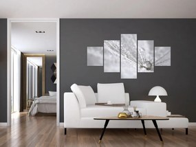 Obraz - Kropla wody (125x70 cm)