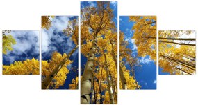 Obraz - Aspen (125x70 cm)